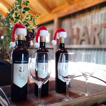 Festive Cheer 6 Pack