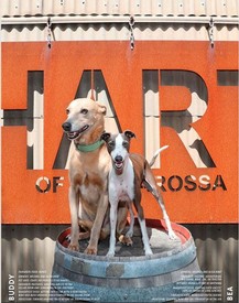 Wine Dogs Australia
